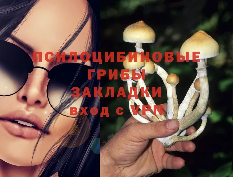 где купить наркоту  Артёмовский  OMG как зайти  Псилоцибиновые грибы MAGIC MUSHROOMS 