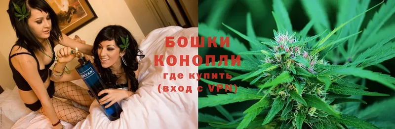 Шишки марихуана OG Kush  Артёмовский 